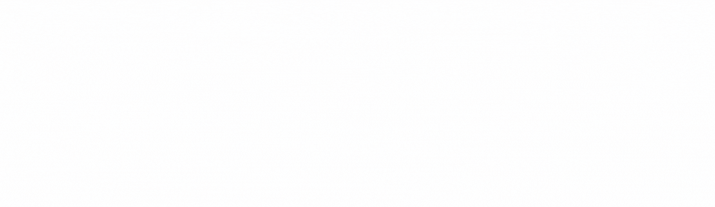 Wealth Elite Logo